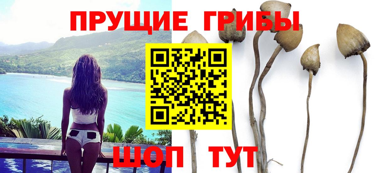 Галлюциногенные грибы мухоморы Нижнекамск